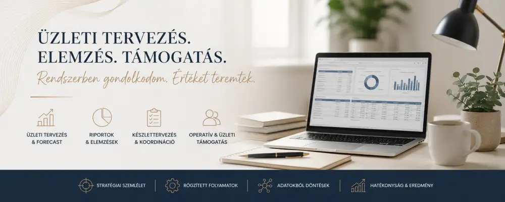Tapasztalt üzleti tervező és elemző | Excel, riportok, készlettervezés, business support